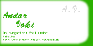 andor voki business card
